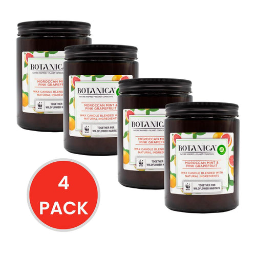 Air Wick 500g Candle Botanica Moroccan Mint And Pink Grapefruit (4x Pack)
