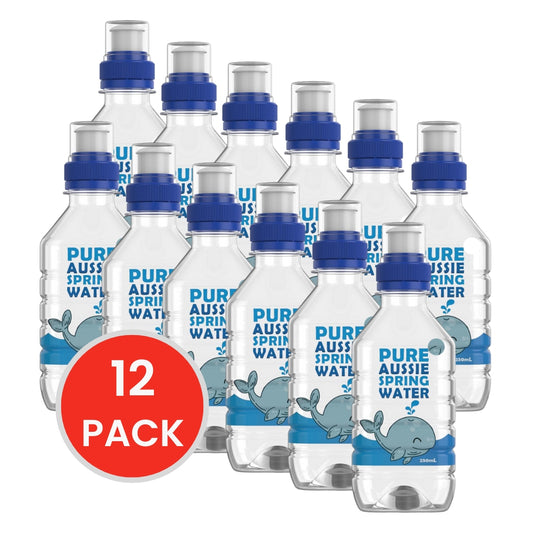 Fruity Burst Spring Water 250ml Bottle (12x Pack)