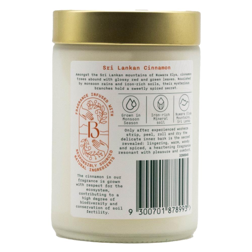 Air Wick Candle Botanica Origins Sri Lankan Cinnamon (6 Pack)