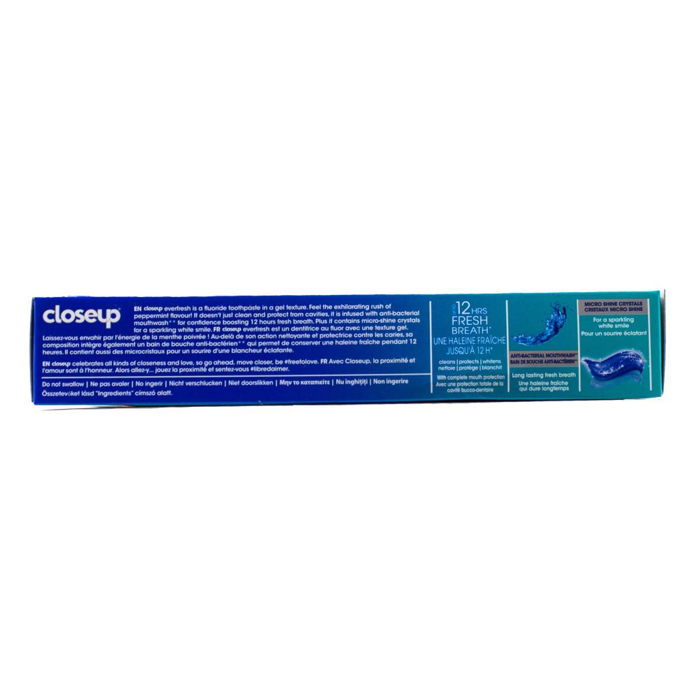9x Closeup Toothpaste Everfresh Menthol Paradise 90g (9 Pack)