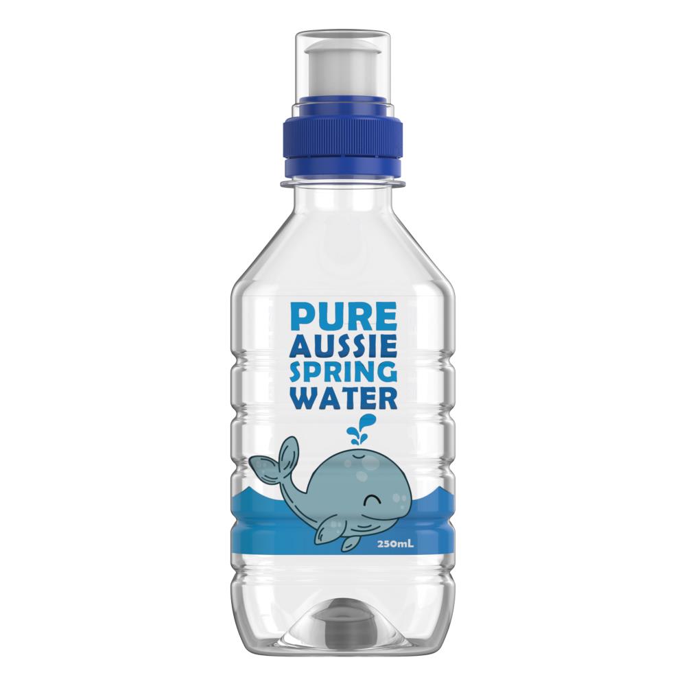 Fruity Burst Spring Water 250ml Bottle (12x Pack)