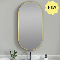 Matte Brushed Gold Oval Framed Mirror 500x1000mm