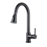 Aquaperla Euro Round Electroplated Matte Black Pull Out Kitchen Sink Mixer Tap 360° Swivel Solid Brass