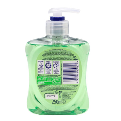 Carex Antibacterial Hand Wash Aloe Vera 250mL (6 Pack)