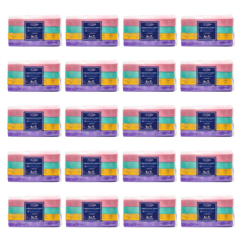 Real Care Everyday Facial Tissues 2 Ply PK4 x 60 (20 Pack)