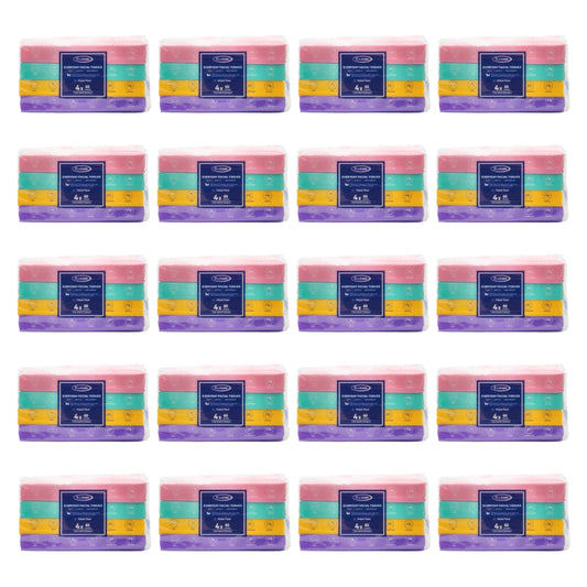 Real Care Everyday Facial Tissues 2 Ply PK4 x 60 (20 Pack)