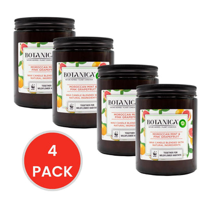 Air Wick 500g Candle Botanica Moroccan Mint And Pink Grapefruit (4x Pack)