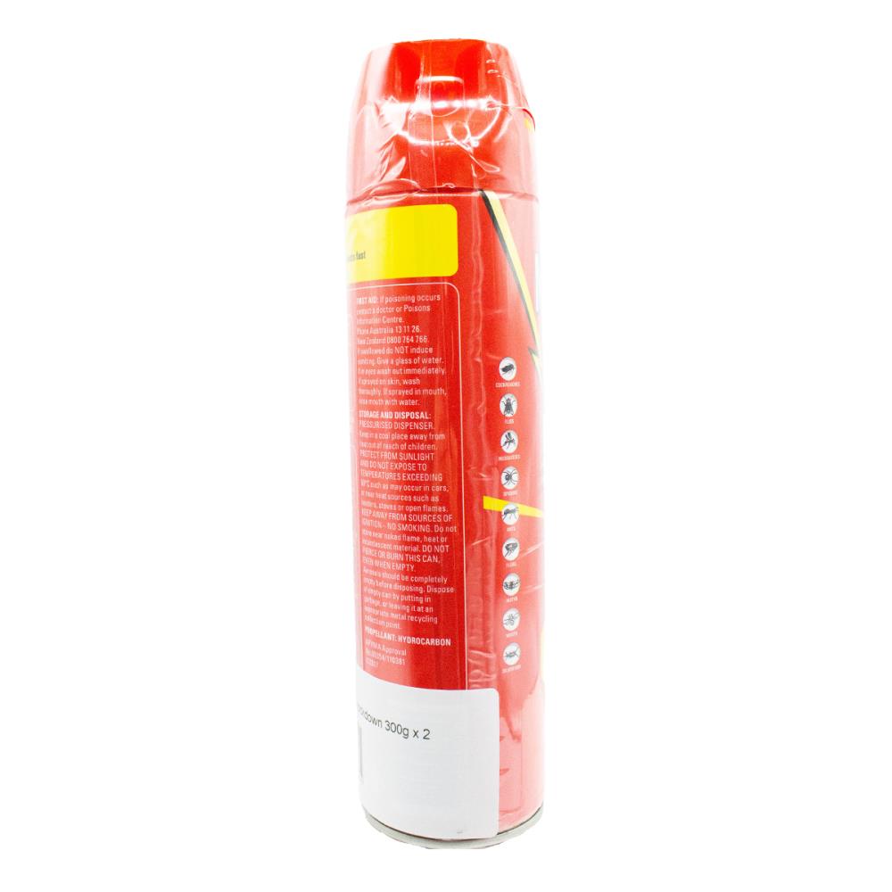Mortein Multi Insect Killer Fast Knockdown 300g PK2 (24 Value Pack)