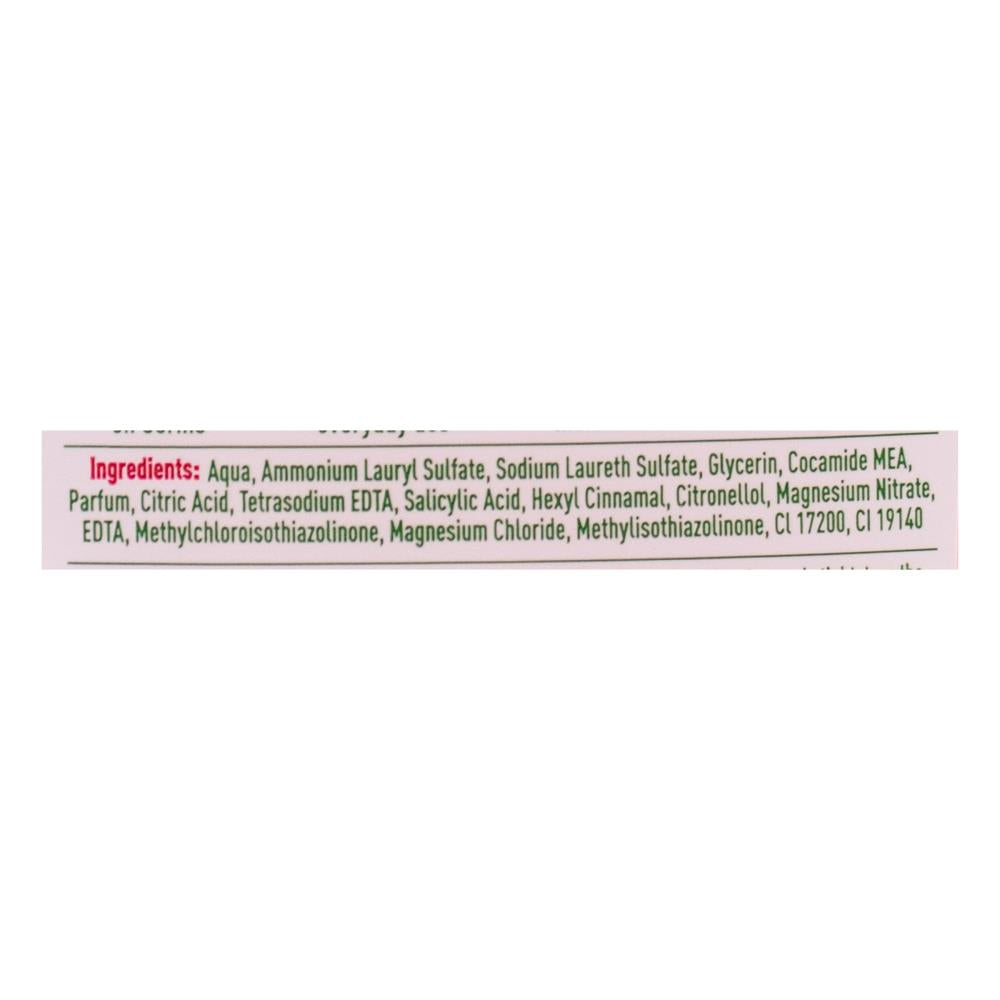 Dettol Soft On Skin Foam Hand Wash Rose & Cherry In Bloom 250ml (6 Pack)