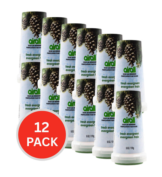 Airall Solid Air Freshener Fresh Evergreen 170g (12 Pack)